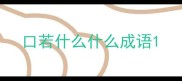 口若什么什么成语