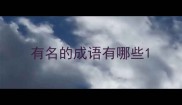 有名的成语有哪些