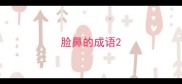 脸鼻的成语
