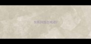 东周列国志成语