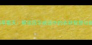 人勤鸡鸣早看天解读四字成语中的农耕智慧与奋斗精神