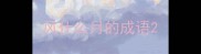 风什么月的成语