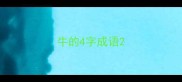 牛的4字成语