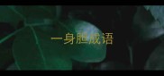 一身胆成语
