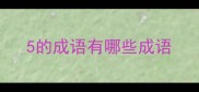 5的成语有哪些成语