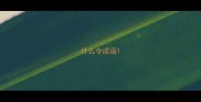 什么令成语
