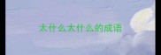 太什么太什么的成语