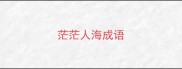 茫茫人海成语