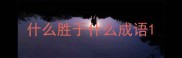 什么胜于什么成语