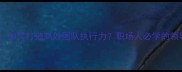 上行下效如何打造高效团队执行力职场人必学的领导力法则