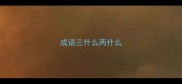 成语三什么两什么