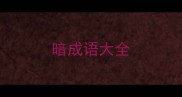 暗成语大全