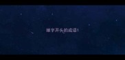娘字开头的成语