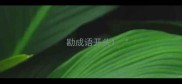 勘成语开头
