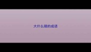 大什么镜的成语