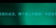 10个固执而不屈服的成语哪个最让你震撼中国智慧中的坚韧精神