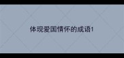 体现爱国情怀的成语