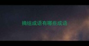 摘组成语有哪些成语