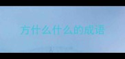 方什么什么的成语
