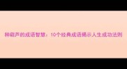种葫芦的成语智慧10个经典成语揭示人生成功法则