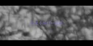 白发小孩打一成语