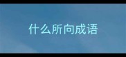 什么所向成语