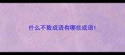 什么不数成语有哪些成语
