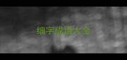 细字成语大全