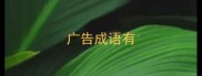 广告成语有