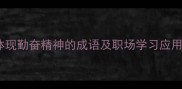 10个体现勤奋精神的成语及职场学习应用指南