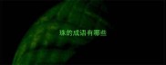 珠的成语有哪些