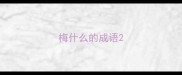 梅什么的成语