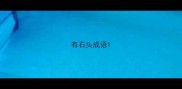 有石头成语