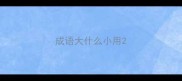 成语大什么小用