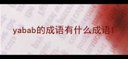 yabab的成语有什么成语