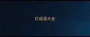 打成语大全