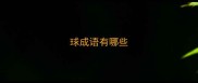 球成语有哪些