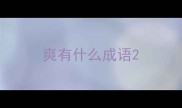 爽有什么成语
