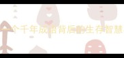塞翁失马一个千年成语背后的生存智慧与人生启示