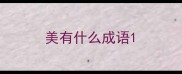 美有什么成语