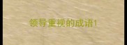 领导重视的成语