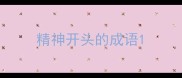 精神开头的成语
