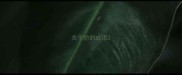 关于防的成语