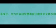 瓢米成仓从古代农耕智慧看现代粮食安全体系构建