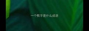 一个甄字是什么成语