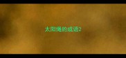 太阳绳的成语