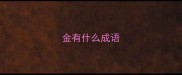 金有什么成语