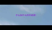 什么如什么四字成语
