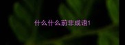什么什么前非成语