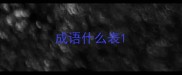 成语什么表